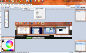 Paint.NET2