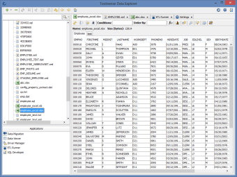 Toolsverse Data Explorer0