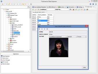 Toolsverse Data Explorer1