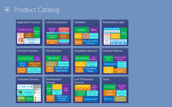 Microsoft Products Portfolio  81
