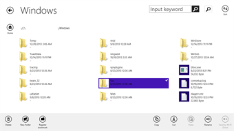 Simple File Explorer  100