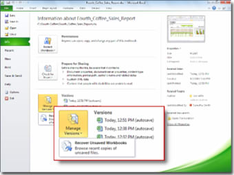 Microsoft Excel 20101