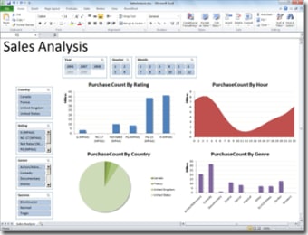Microsoft Excel 20100