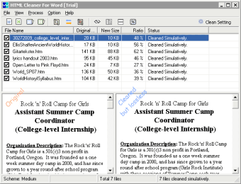 HTML Cleaner for Word0