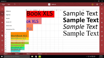 WorkBook XLS3