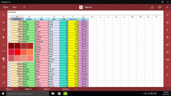 WorkBook XLS4