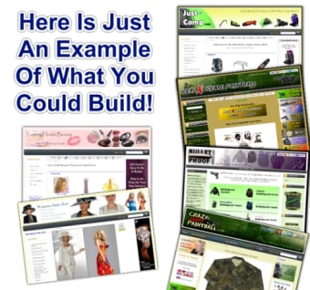 Web Niche Empire0