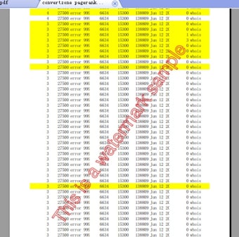 CZ Excel Converter3