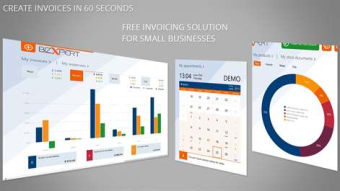 Invoice - BizXpert  100