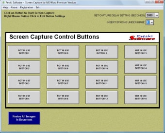 Word Screen Capture0
