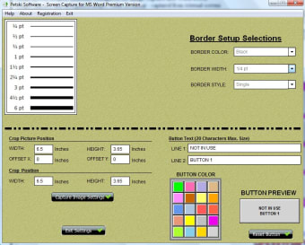 Word Screen Capture1