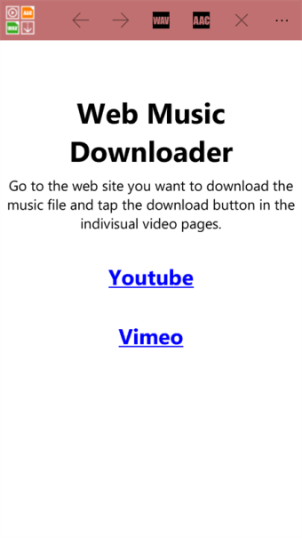 Web Music Downloader  100