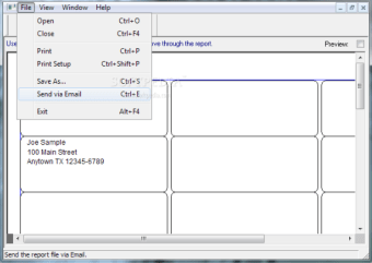 Report Viewer0