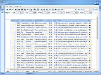 SQLite Expert Professional1