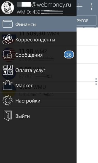 WebMoney Keeper  100
