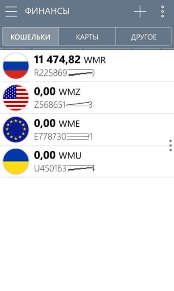 WebMoney Keeper  102