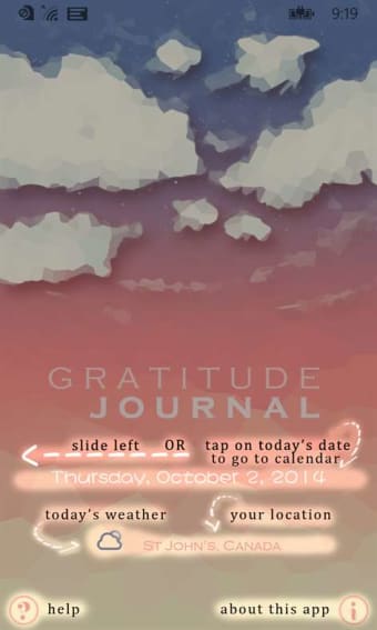 Gratitude Journal  101