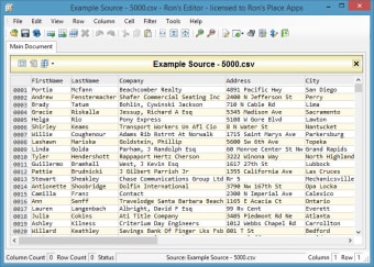 Ron's Editor11