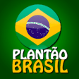 Planto Brasil - Notcias