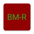 DMR BrandMeister repeaters