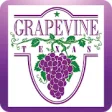 My Grapevine