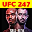 UFC 247