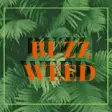 BuzzWeed