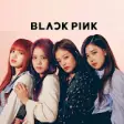 BLACKPINK - News, Videos, Images,Tour Information