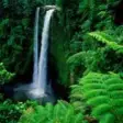 Waterfall Wallpaper  10