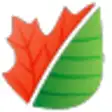 Image Converter Command Line