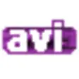 AVI Viewer