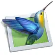 PicturesToExe Deluxe