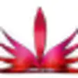 PhotosArtist