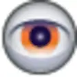 Video Insight