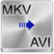 Free MKV to AVI Converter
