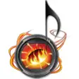 Sonicfire Pro