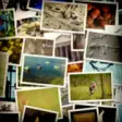 Slide Show  10