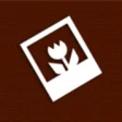 ASUS PhotoDirector  10