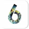 Dynamic Auto Painter 6 Pro