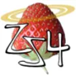 ZS4 Video Editor