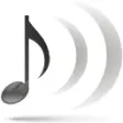SWYH (Stream What You Hear)