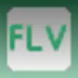 FLV Player Free