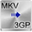Free MKV to 3GP Converter