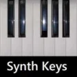 Synthesizer Keyboard  10
