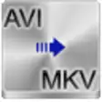Free AVI to MKV Converter