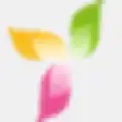 PDF Popup