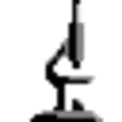 ImageJ (32-bit)