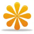 PDF Converter  7