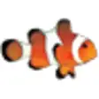 Clownfish for Teamspeak