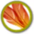 PNG PSD Viewer